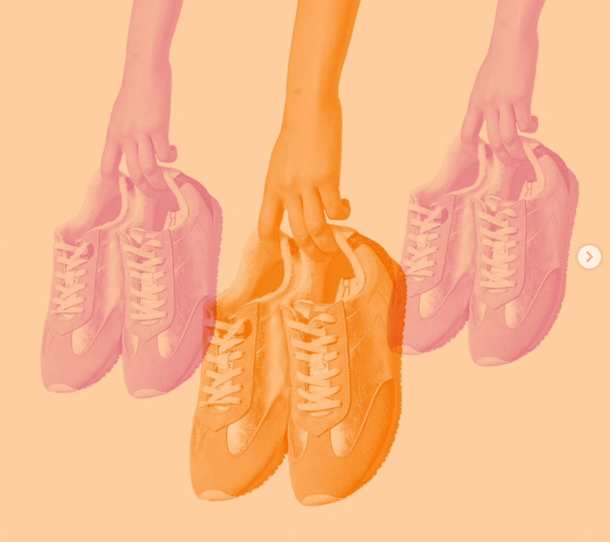 Verbenas - Main & Taylor