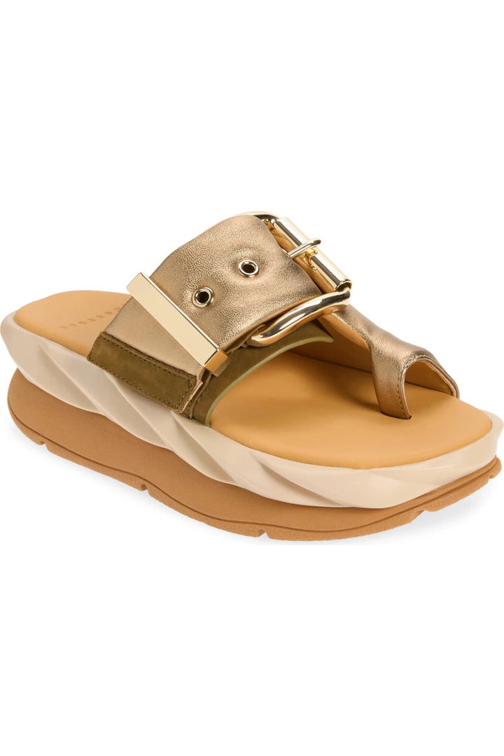 4CCCCEES MELLOW GLOW BRASS SANDAL Shoes | Shop now at Main &amp; Taylor Shoes!
