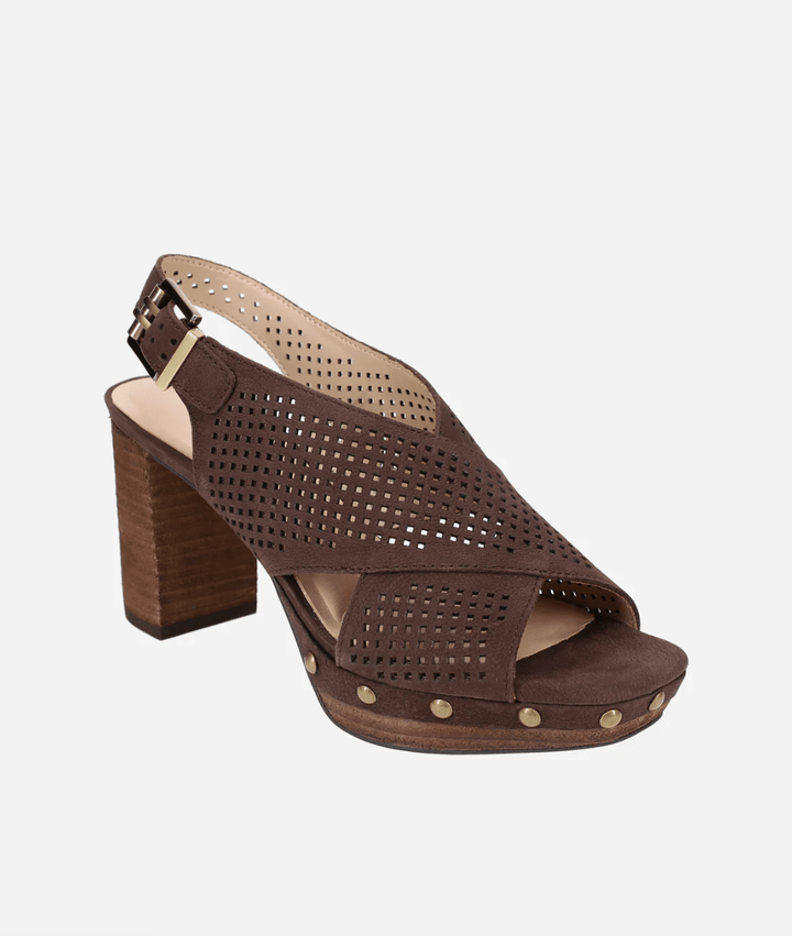 Pelle Moda AMBREE CHOCOLATE PERFORATED PLATFORM HEEL Shoes | Shop now at Main &amp; Taylor Shoes!